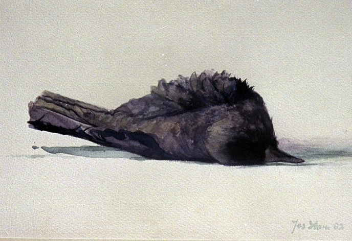 JS1221